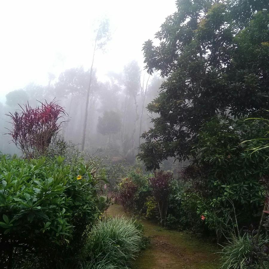 Ferienwohnung Hill Side Estate Madikeri Exterior foto